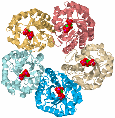 Image Biological Unit 2