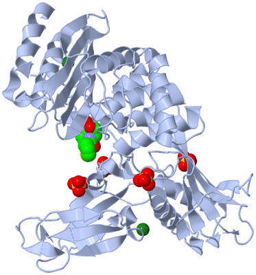 Image Biological Unit 1