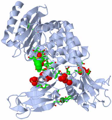 Image Biol. Unit 1 - sites