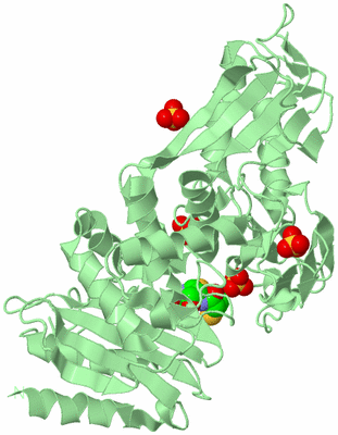 Image Biological Unit 2