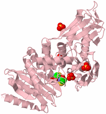 Image Biological Unit 3