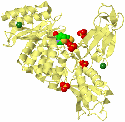 Image Biological Unit 4