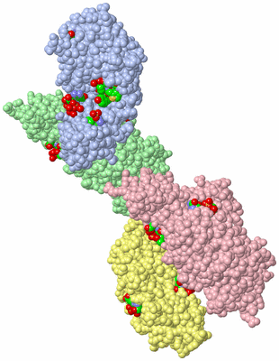 Image Asym. Unit - sites