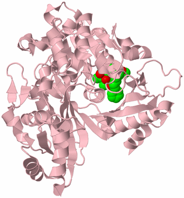 Image Biological Unit 3