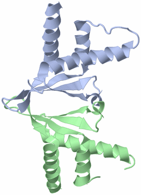 Image Asymmetric Unit