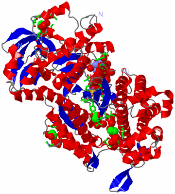 Image Asym./Biol. Unit - sites