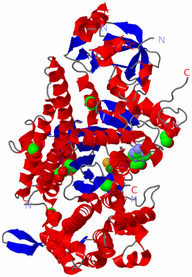 Image Asym./Biol. Unit