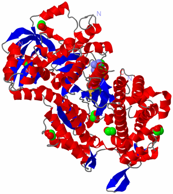 Image Asym./Biol. Unit