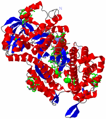 Image Asym./Biol. Unit - sites