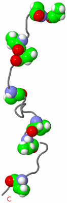 Image NMR Structure - model 1