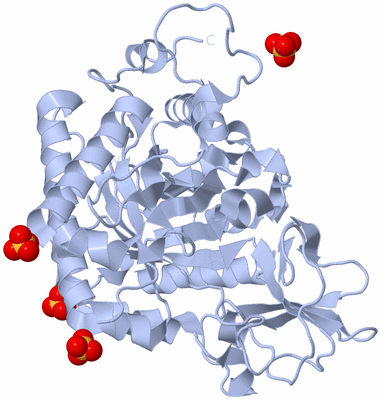 Image Biological Unit 1