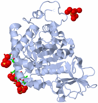 Image Biol. Unit 1 - sites