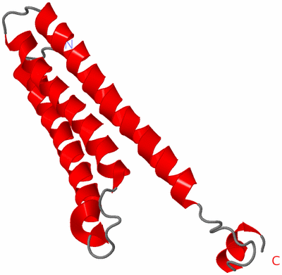 Image NMR Structure - model 1
