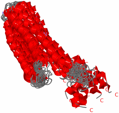 Image NMR Structure - all models