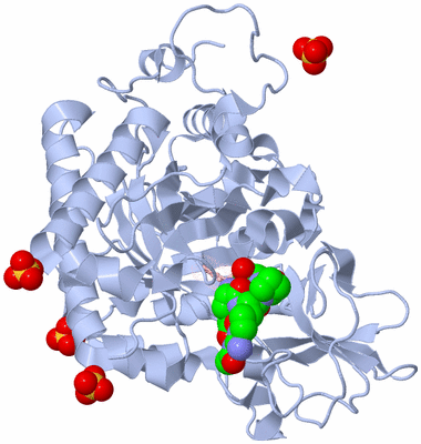 Image Biological Unit 1