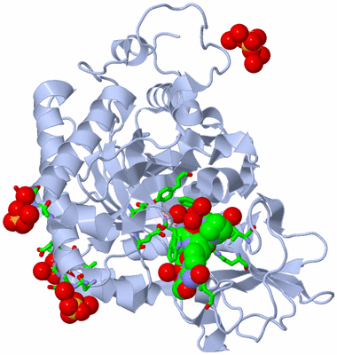 Image Biol. Unit 1 - sites