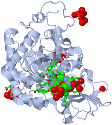 Image Biol. Unit 1 - sites