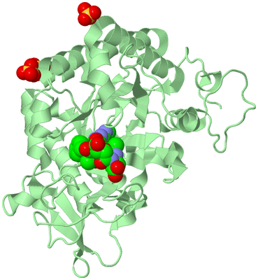 Image Biological Unit 2