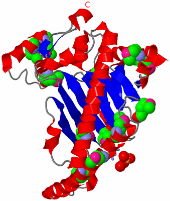 Image Asym. Unit - sites