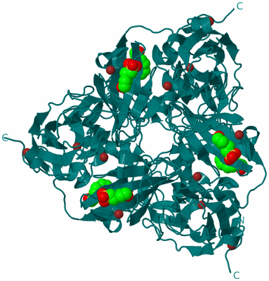 Image Biological Unit 1