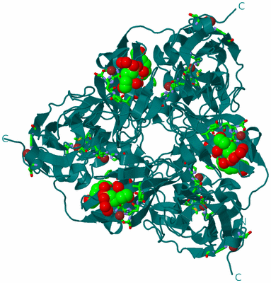 Image Biol. Unit 1 - sites