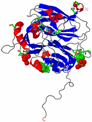 Image Asym. Unit - sites