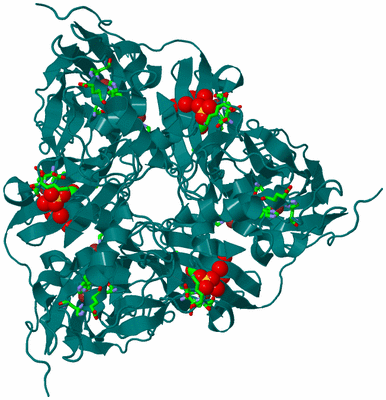 Image Biol. Unit 1 - sites