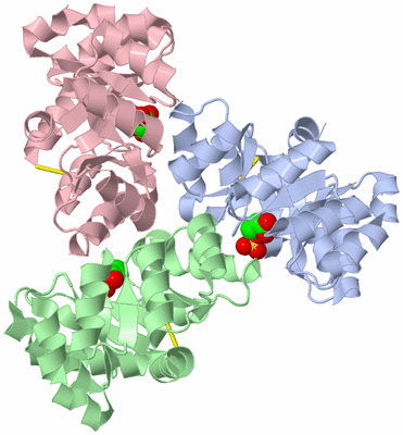 Image Biological Unit 1