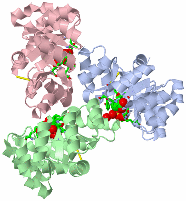 Image Biol. Unit 1 - sites