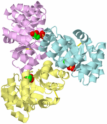 Image Biological Unit 2