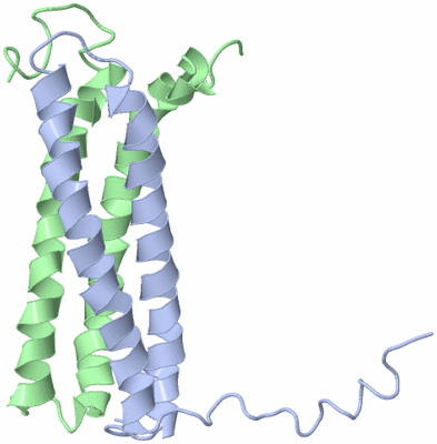 Image NMR Structure - model 1