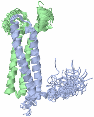 Image NMR Structure - all models