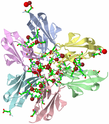 Image Asym./Biol. Unit - sites