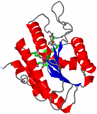 Image Asym. Unit - sites