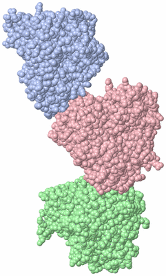 Image Asymmetric Unit