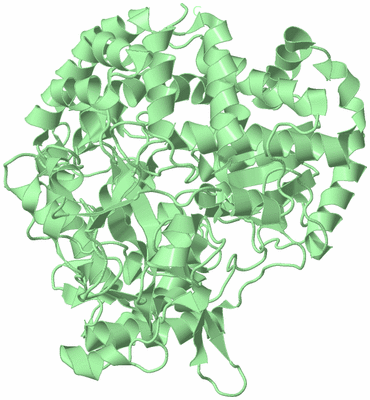 Image Biological Unit 2