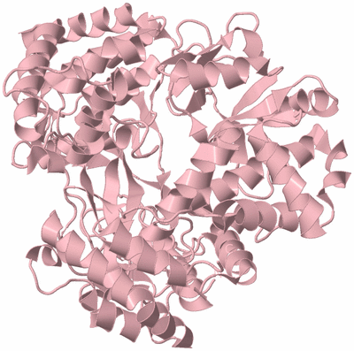 Image Biological Unit 3