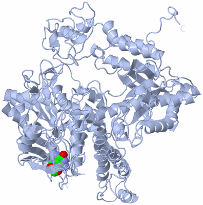 Image Biological Unit 1