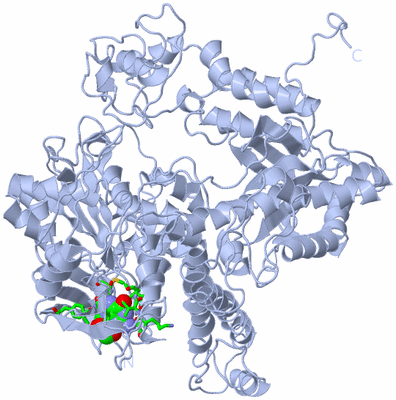 Image Biol. Unit 1 - sites