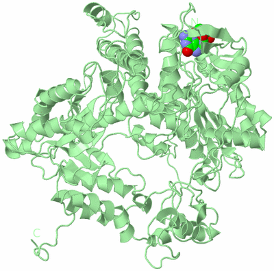 Image Biological Unit 2