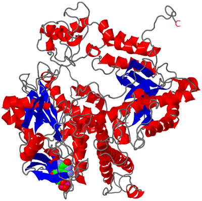 Image Asym./Biol. Unit