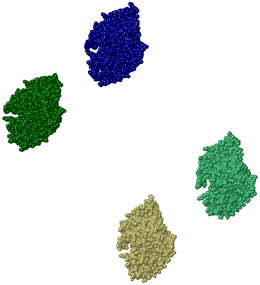 Image Asymmetric Unit