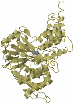 Image Biological Unit 3