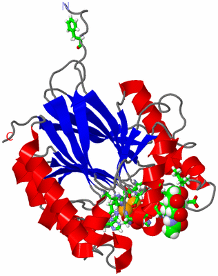 Image Asym./Biol. Unit - sites