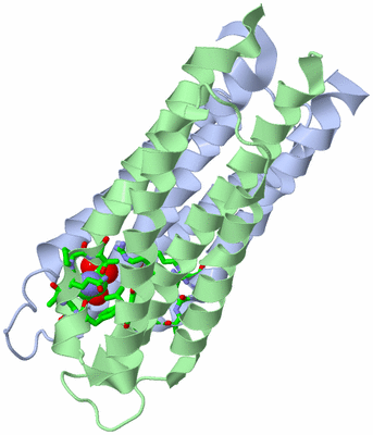 Image Asym./Biol. Unit - sites