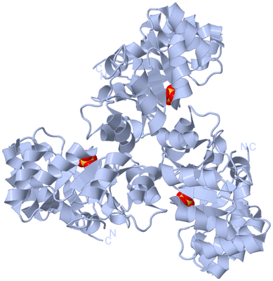 Image Biological Unit 1