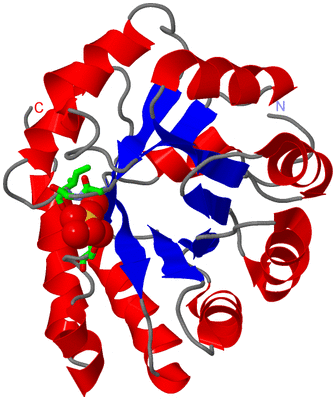 Image Asym. Unit - sites