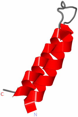 Image NMR Structure - model 1