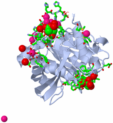 Image Biol. Unit 1 - sites