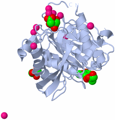 Image Biological Unit 1